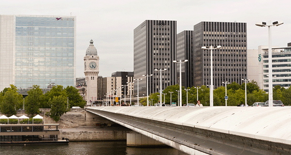 Pont Charles de Gaule