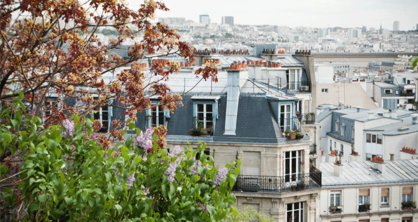 Vue sur les toits de Montmartre